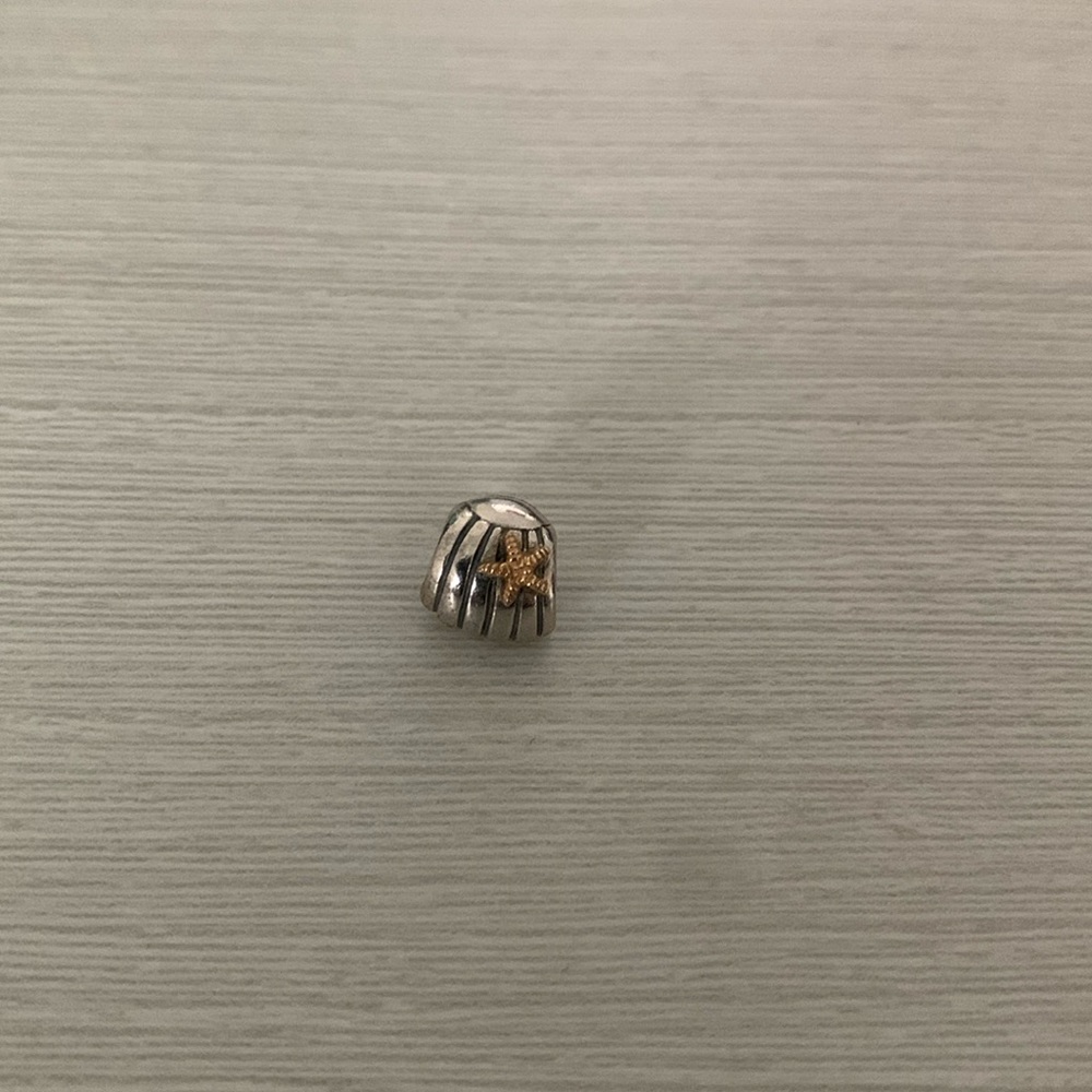 Pandora Charm